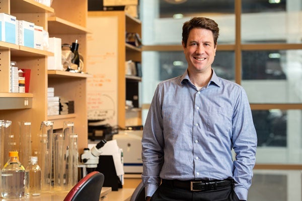 Headshot of Case Western Reserve University Psychiatry Professor Andrew Pieper