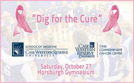 Digforcure_web2