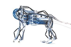 Featured in "When Robots Fly" Photo: Michael F. McElroy