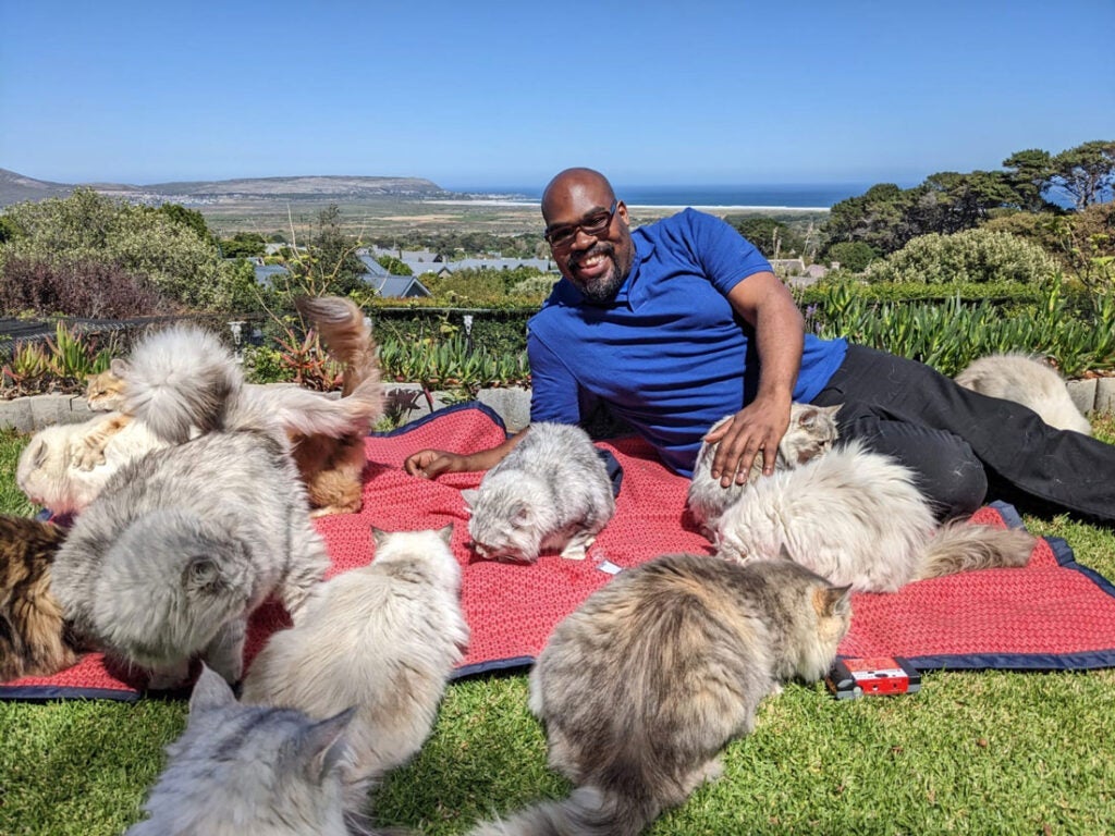 Photo of Razaq Durodoye surrounded by cats at an outdoor cat cafe