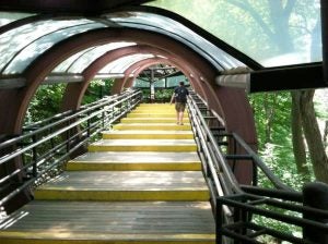Elephant stairs