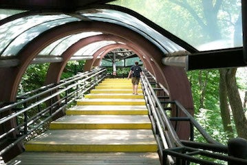Elephant Stairs