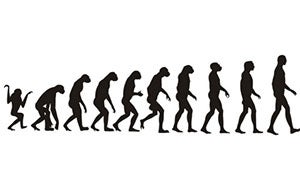 evolution