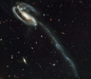 An optical image of the “Tadpole” galaxy, an interacting galaxy, taken by the Hubble Space Telescope. Credit: NASA, Holland Ford (JHU), the ACS Science Team and ESA