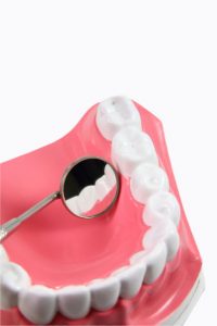 Dentist examining gums