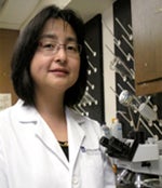 Yiping Han
