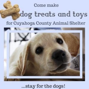 Canines for a Cure event flyer