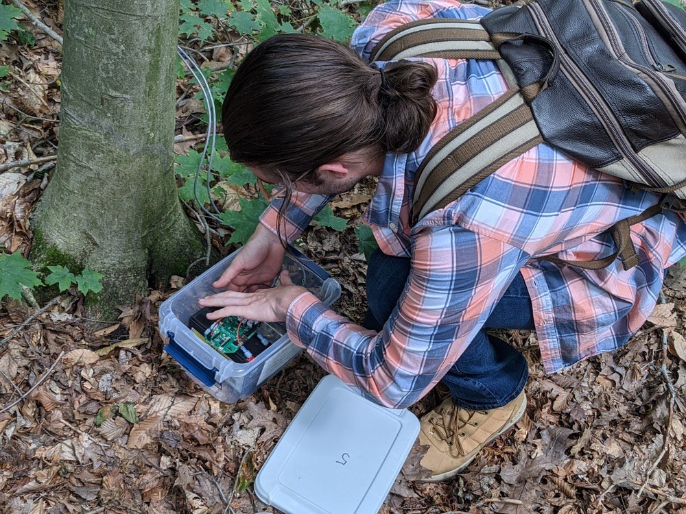 Photo of Kyle Rickert kneeling at the base of a tree while conducting research at University Farm