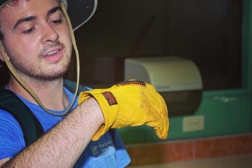 Photo of Shane Cooley holding a milipede on his gloved hand