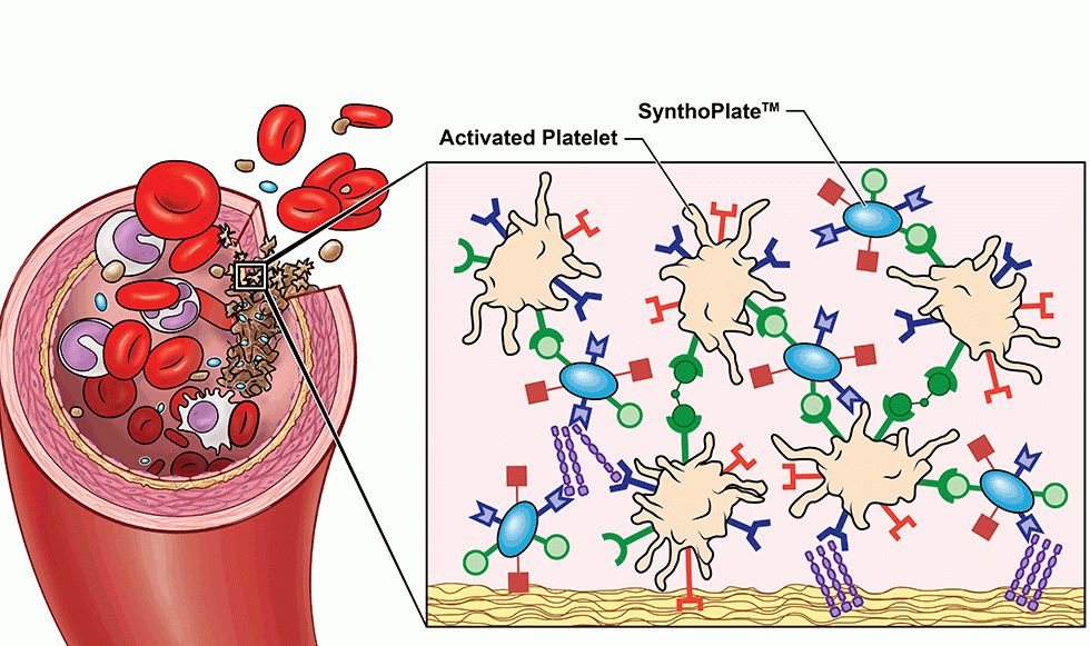 Graphic illustration showing artificial platelets