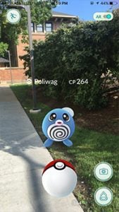 Poliwog