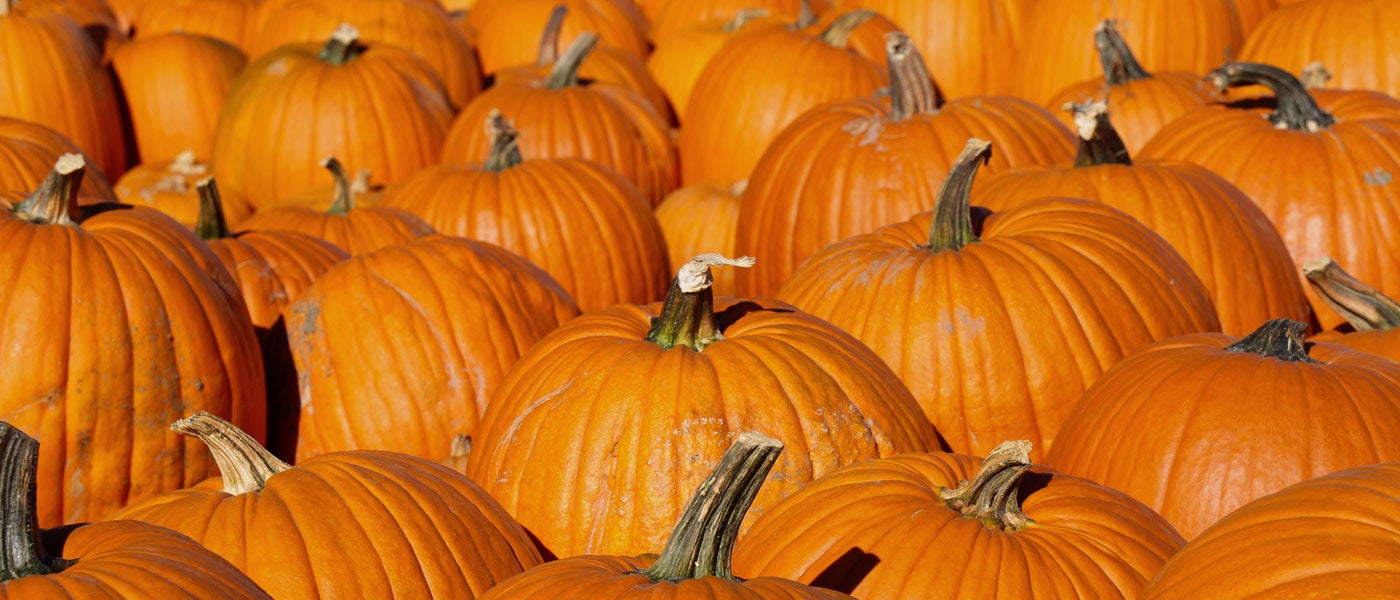 Pumpkins