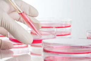 research-hp research