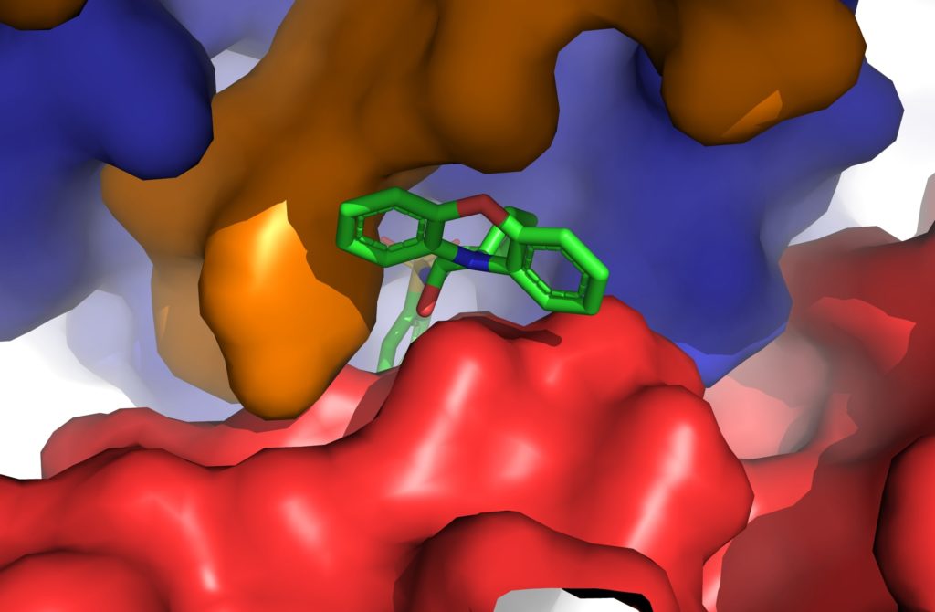 Illustration of what the molecule's binding pocket