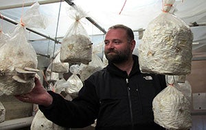 Chris Bond in CWRU Farm's mushroom cellar