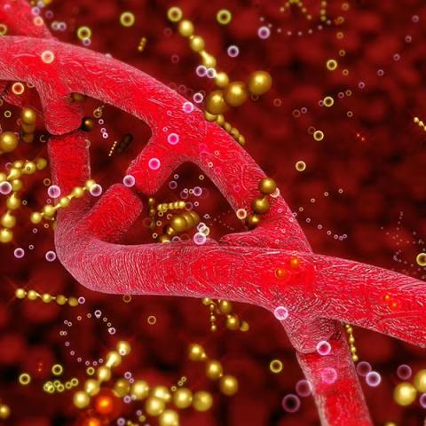 Epigenetics illustration