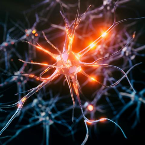 Photo illustration of neurons in the brain with glowing synapses