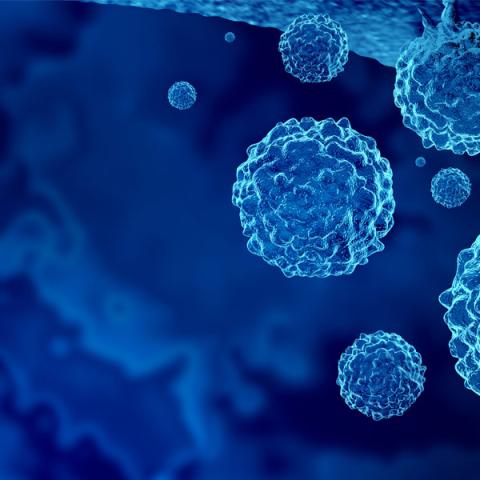 Cancer Cells
