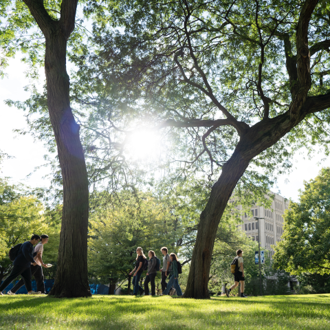 Students walking on campus on a sunny day