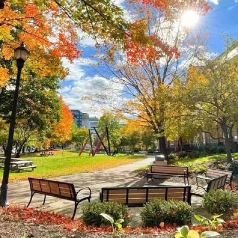 Photo taken outside of Thwing Center of benches on a sunny fall day