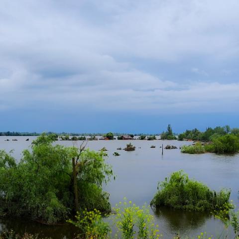 View from the mountain of the flooded sports stadium, trees and houses after the dam tragedy in the city of Kakhovka
