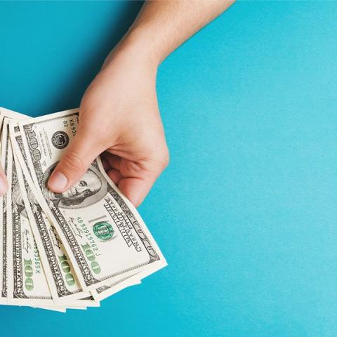 Person Holding Money