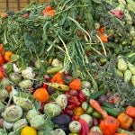 From farm to table, 40% of food goes to waste