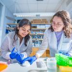 Photos: Celebrate World Laboratory Day with a look into some CWRU labs