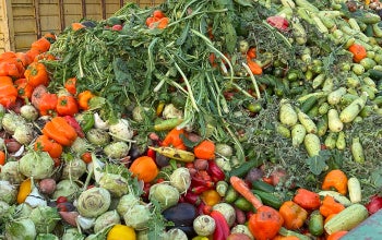 From farm to table, 40% of food goes to waste