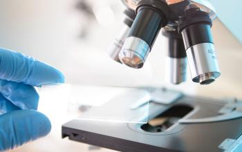 Undergraduate student Alessandro D’Amico is lead author of research paper featured in The Journal of Chemical Physics