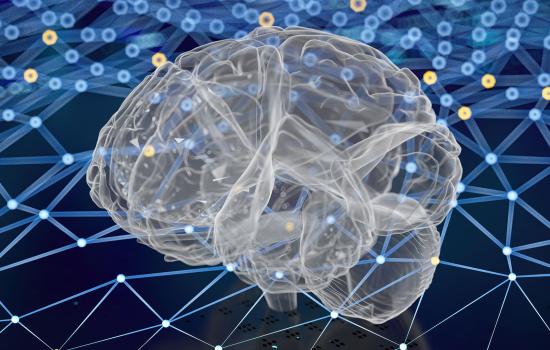 Photo illustration of a brain model