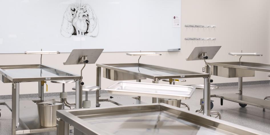 Room with dissection gurneys