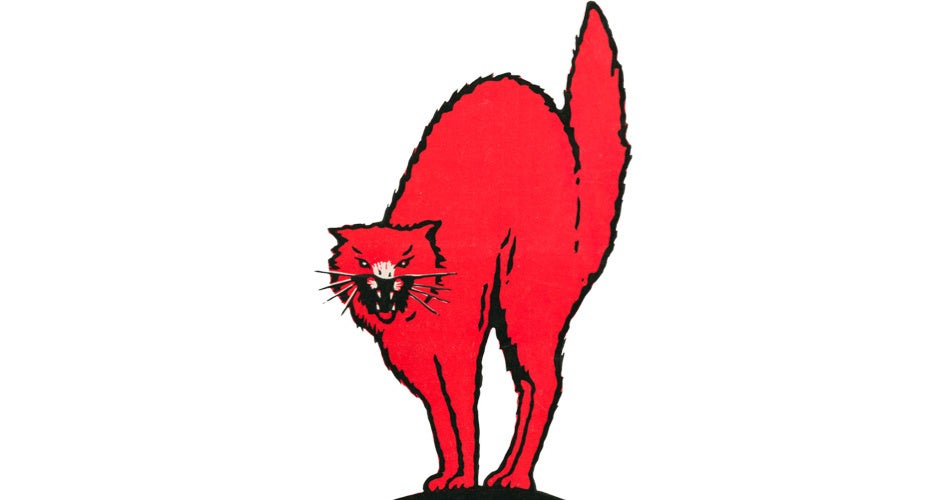 A red cat with an arched back and bared teeth