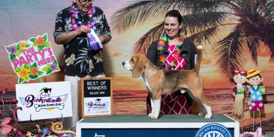 Amanda-and-her-beagle-Gina