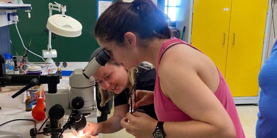 Arielle-in-the-lab