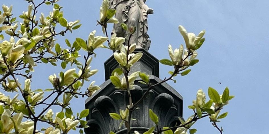 lakeview-cemetery