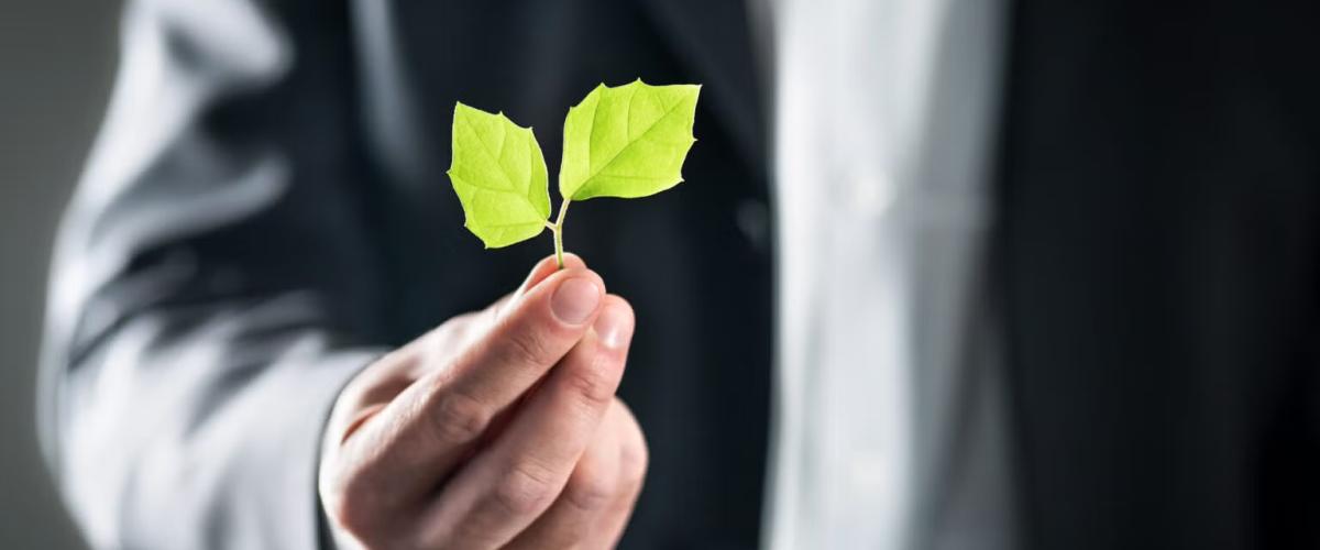 Man holding leaves