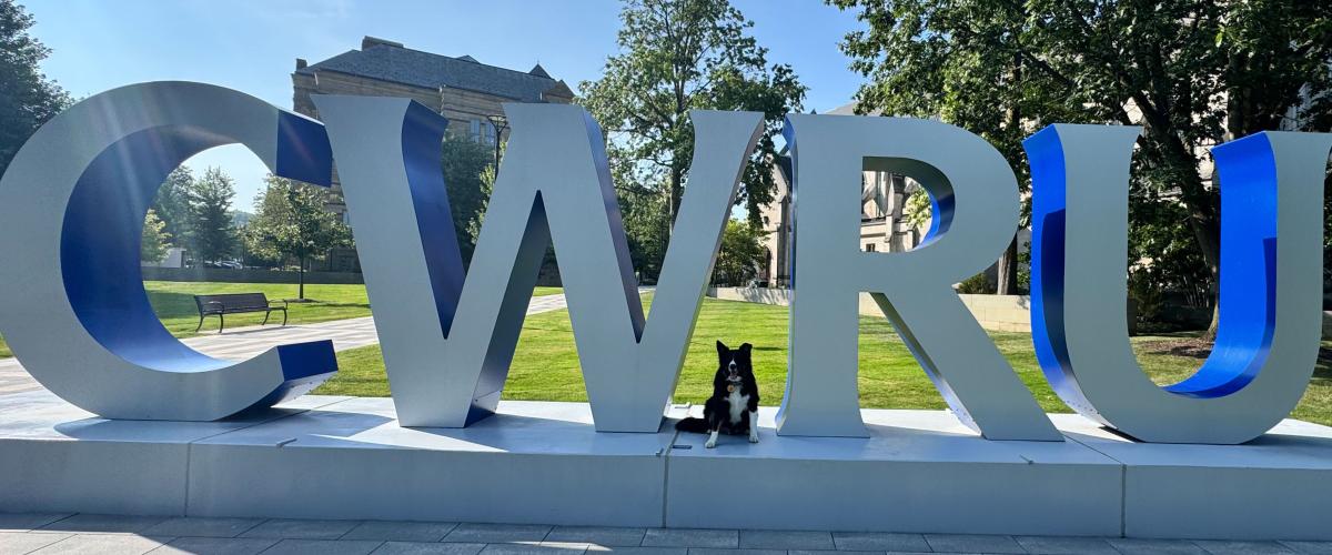 A black, white and brown dog poses in front of a large gray and blue sign near the university’s Binary Walkway that spells, “CWRU.”