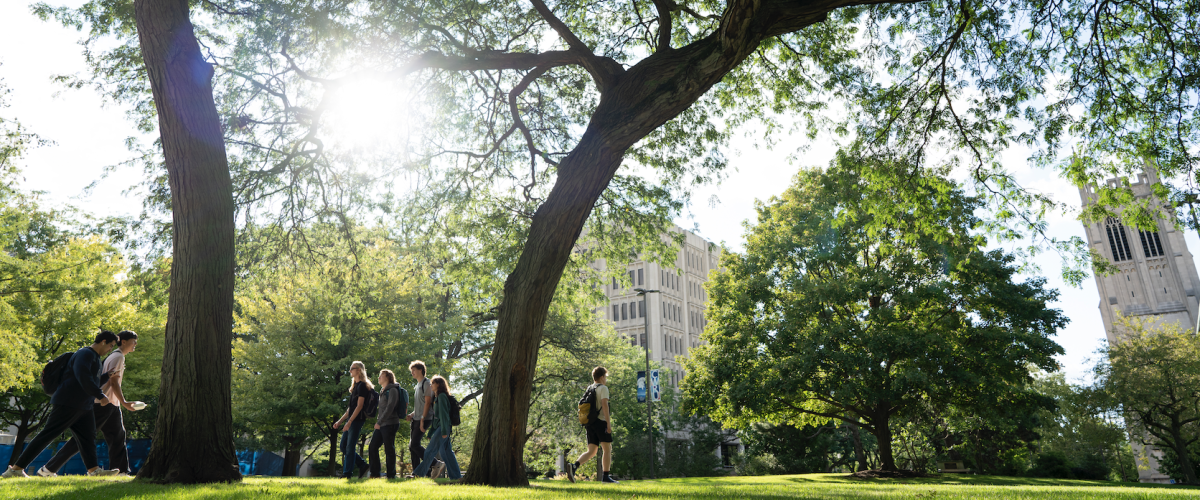 Students walking on campus on a sunny day