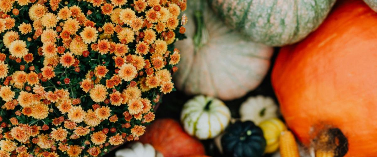 Close up of pumpkins and other fall harvest items 