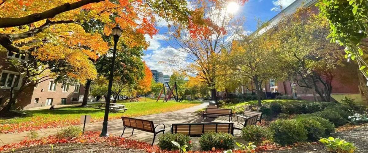 Photo taken outside of Thwing Center of benches on a sunny fall day