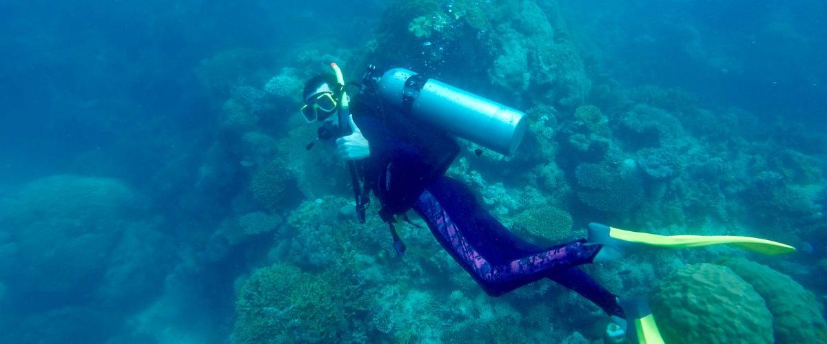 Carson Williams scuba dives at Lady Elliot Island. 