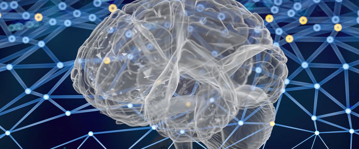 Photo illustration of a brain model