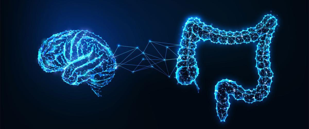 Photo illustration of a brain and intestines with interconnected nature of the gut and brain