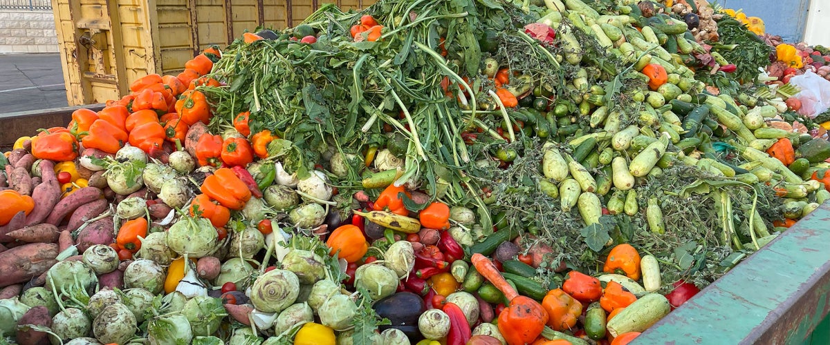 Photo of spoiled produce filling a dumpster