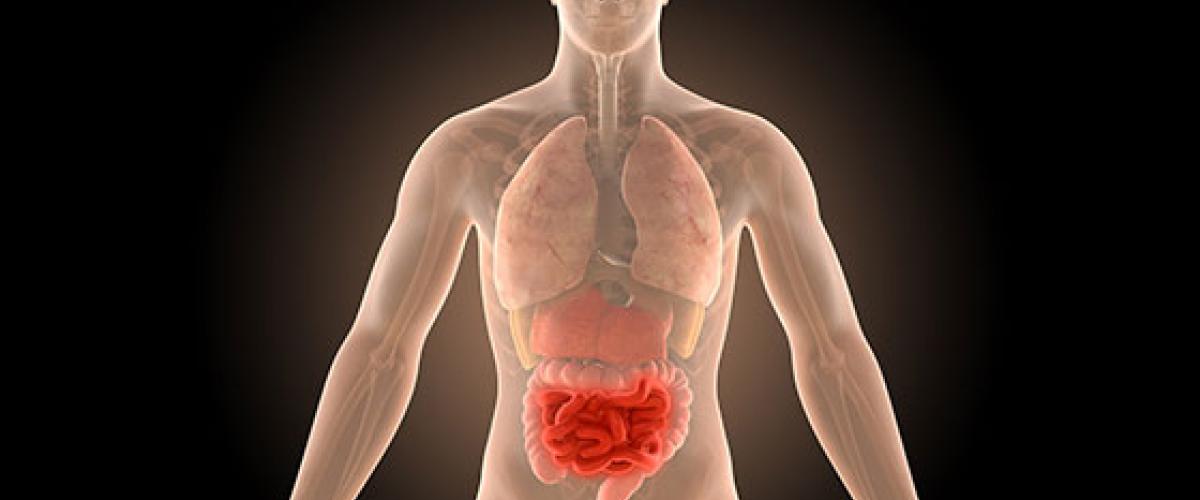3d-illustration-human-body-crohns-intestines-infection-news