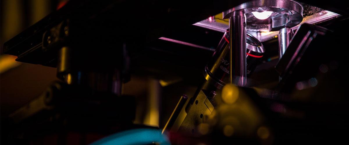 3d-imaging