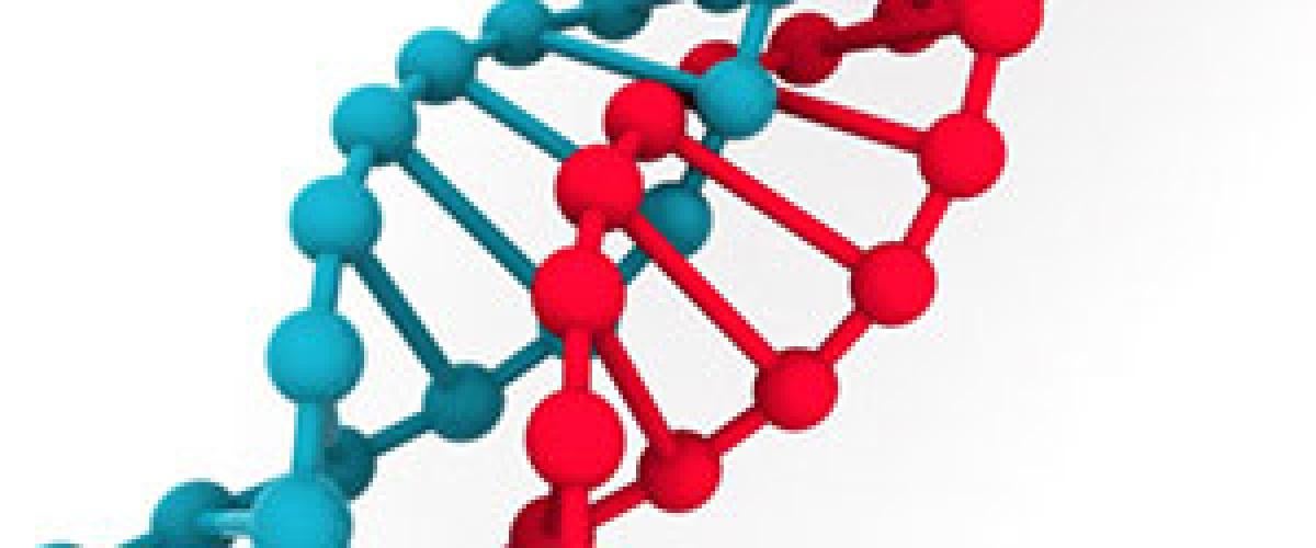 DNA-feat