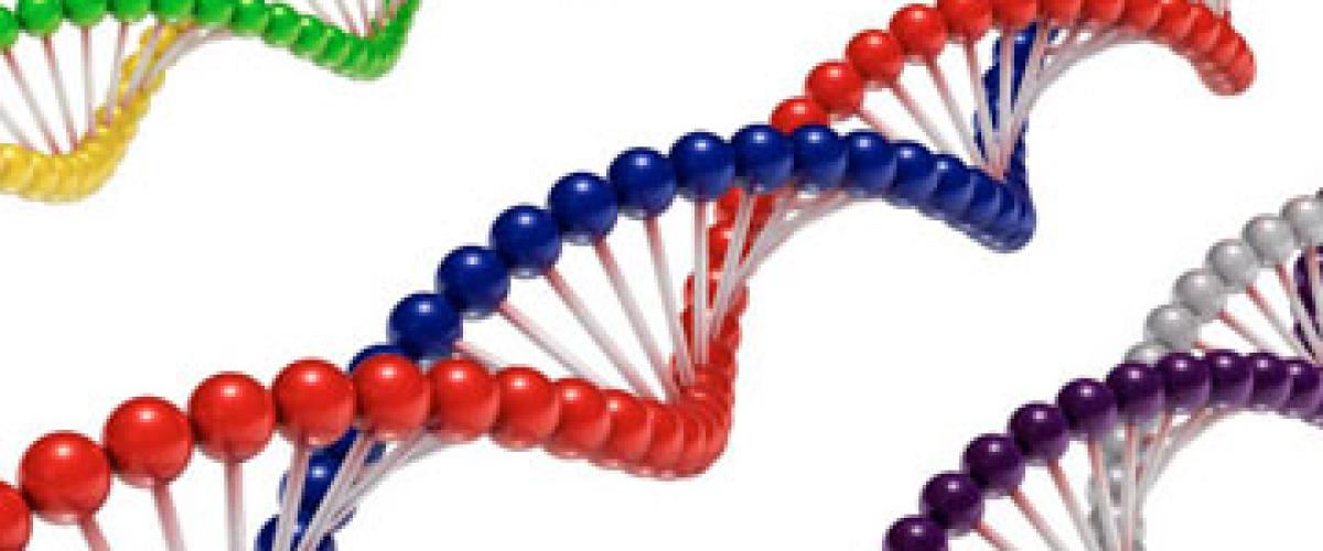 DNA-helix