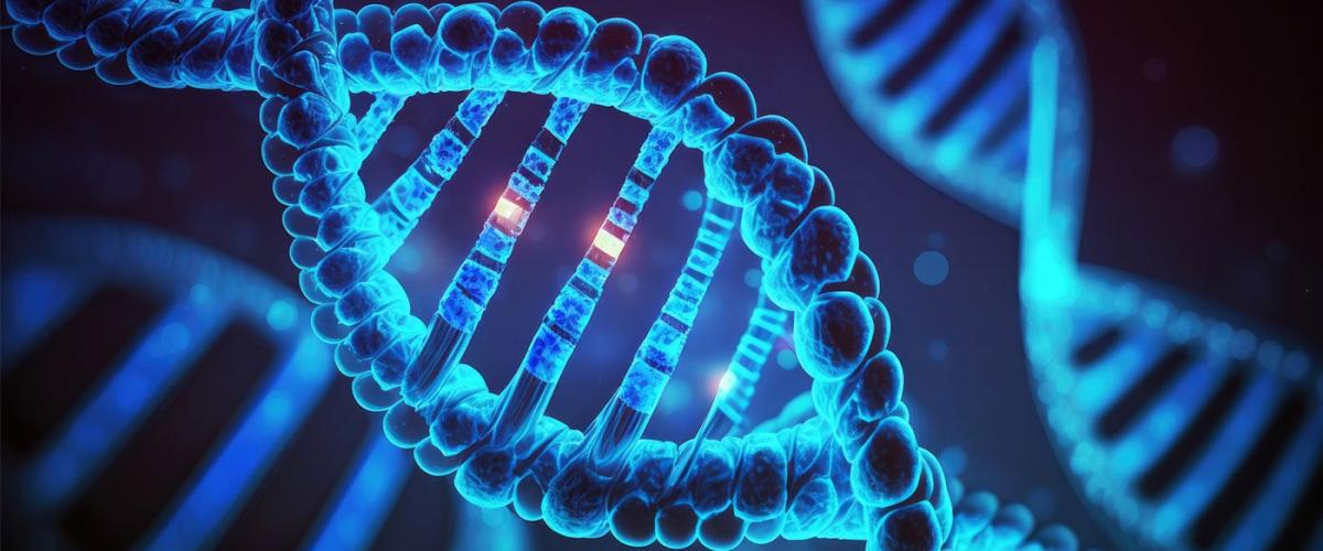 DNA-inverted-vertically